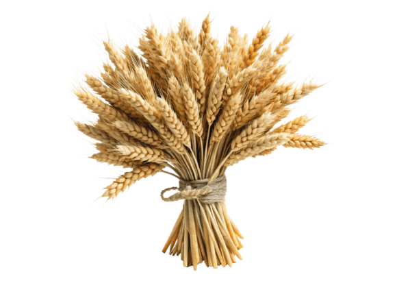 Elevate Your Projects with a Sheaf of Wheat Ears Watercolor