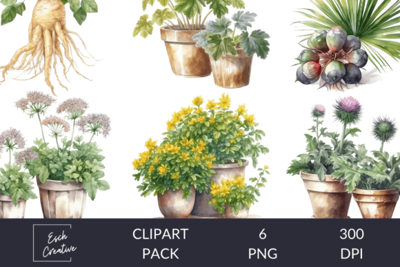 Herbalist Common Plants Watercolor Clipart: A Designer's Guide