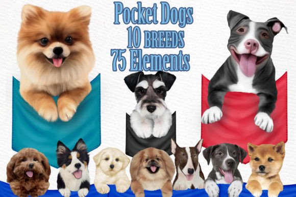 Pocket Dogs Clipart: Versatile Dog Breeds for Your Projects